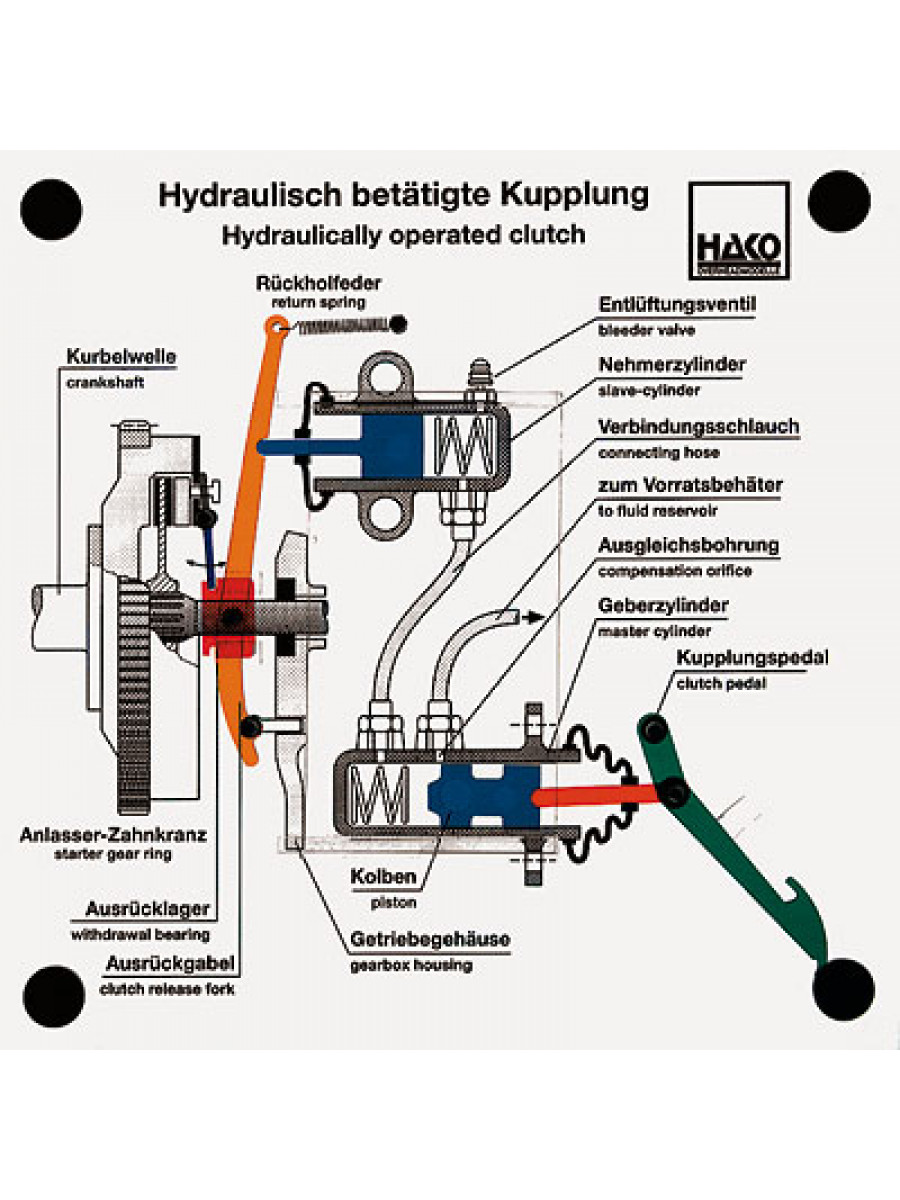 Hydraulisch betätigte Kupplung