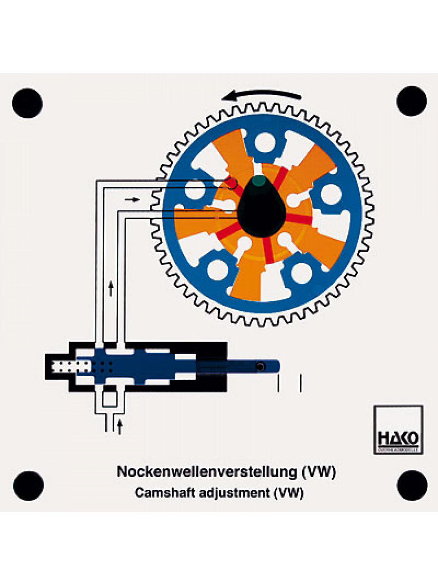 Nockenwellenverstellung mit Flügelzellenverstellung