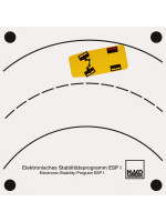 Electronic Stability Program (ESP)